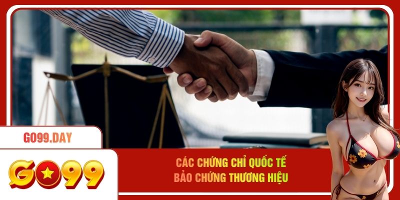 Các chứng chỉ quốc tế bảo chứng thương hiệu